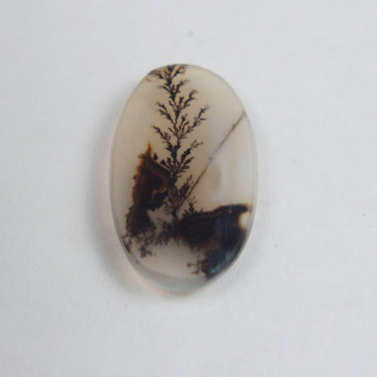 All Natural! Fine Quality Dendritic Agate India