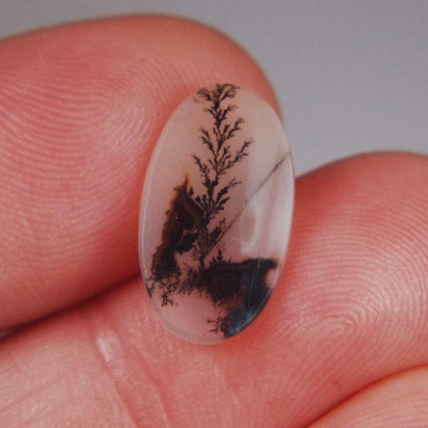 All Natural! Fine Quality Dendritic Agate India