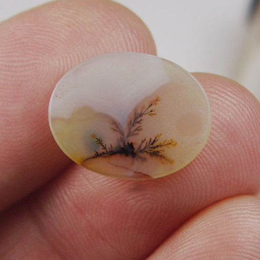 All Natural! Fine Quality Dendritic Agate India