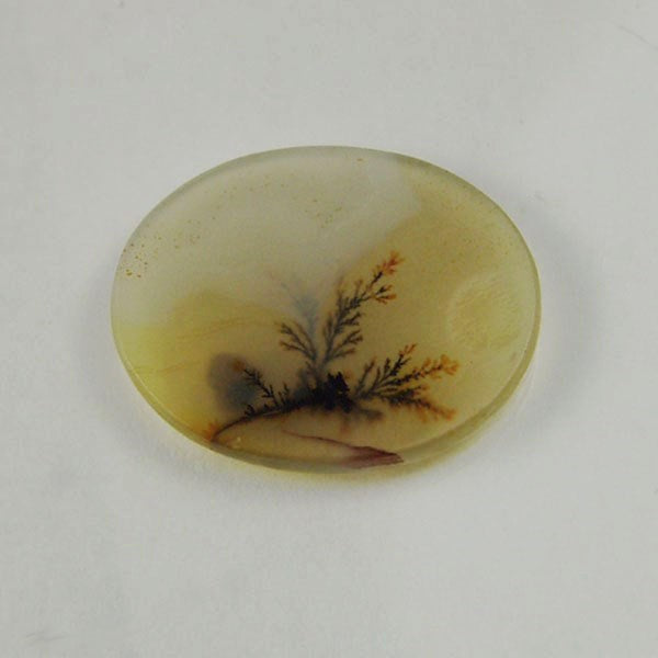 All Natural! Fine Quality Dendritic Agate India