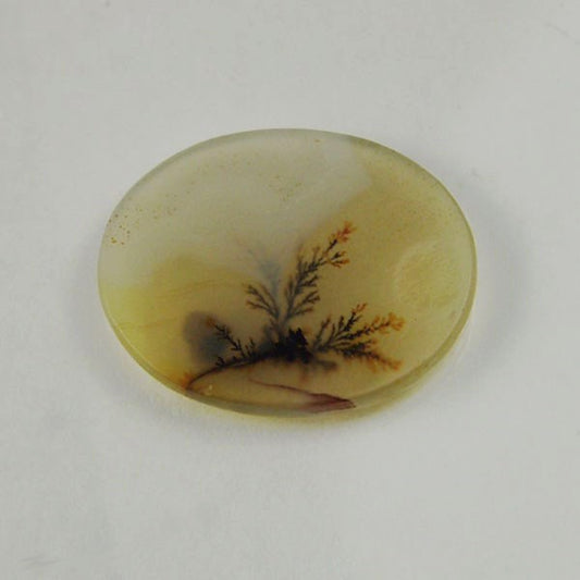 All Natural! Fine Quality Dendritic Agate India
