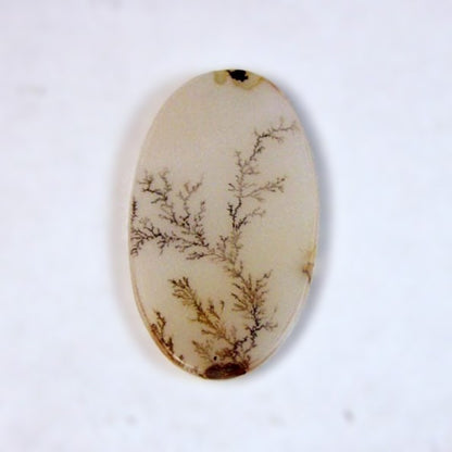 All Natural! Fine Quality Dendritic Agate India