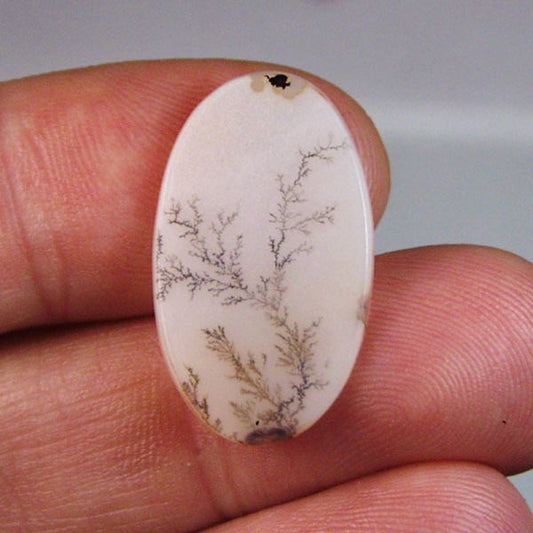 All Natural! Fine Quality Dendritic Agate India