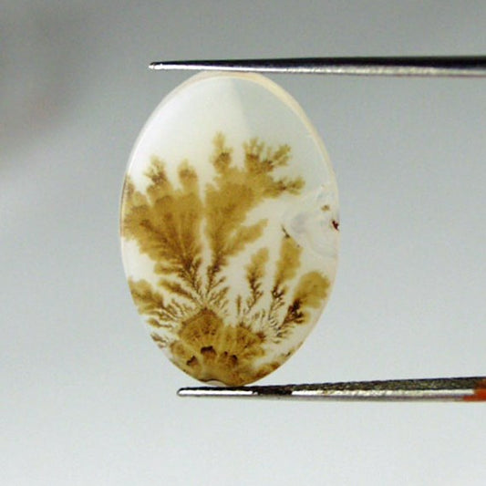 All Natural! Fine Quality Dendritic Agate India