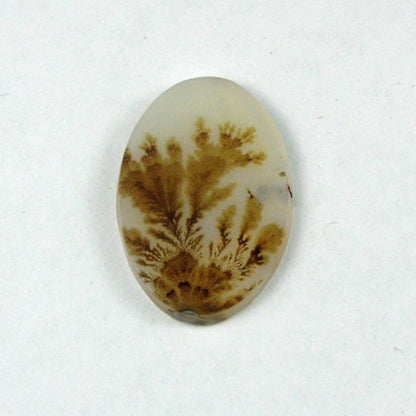 All Natural! Fine Quality Dendritic Agate India