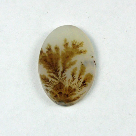 All Natural! Fine Quality Dendritic Agate India