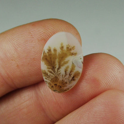 All Natural! Fine Quality Dendritic Agate India