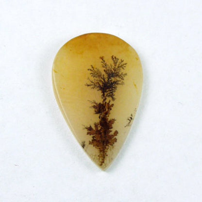 All Natural! Fine Quality Dendritic Agate India