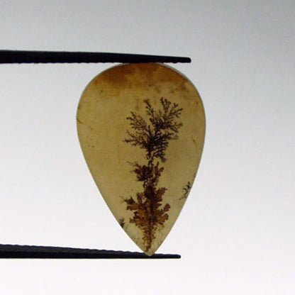 All Natural! Fine Quality Dendritic Agate India