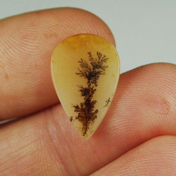 All Natural! Fine Quality Dendritic Agate India