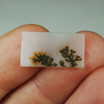 All Natural! Fine Quality Dendritic Agate India