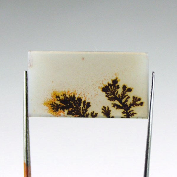 All Natural! Fine Quality Dendritic Agate India