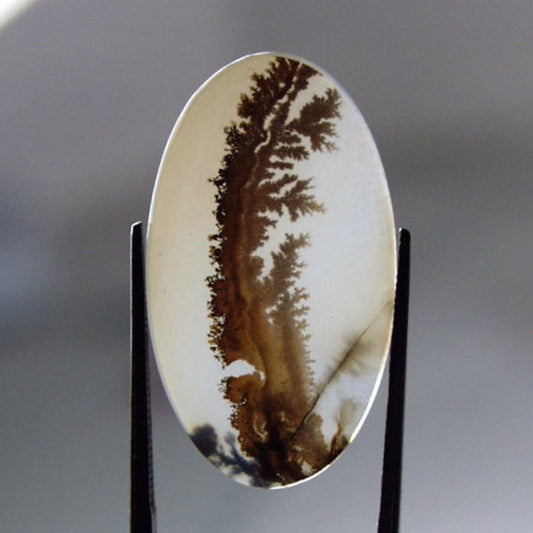 All Natural! Fine Quality Dendritic Agate India