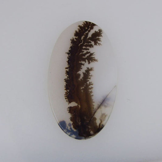 All Natural! Fine Quality Dendritic Agate India