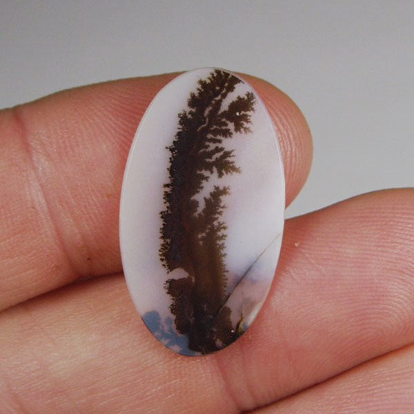 All Natural! Fine Quality Dendritic Agate India