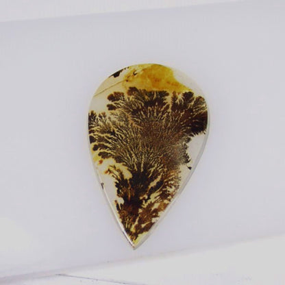 All Natural! Fine Quality Dendritic Agate India