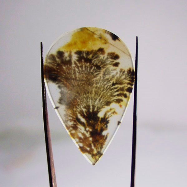All Natural! Fine Quality Dendritic Agate India