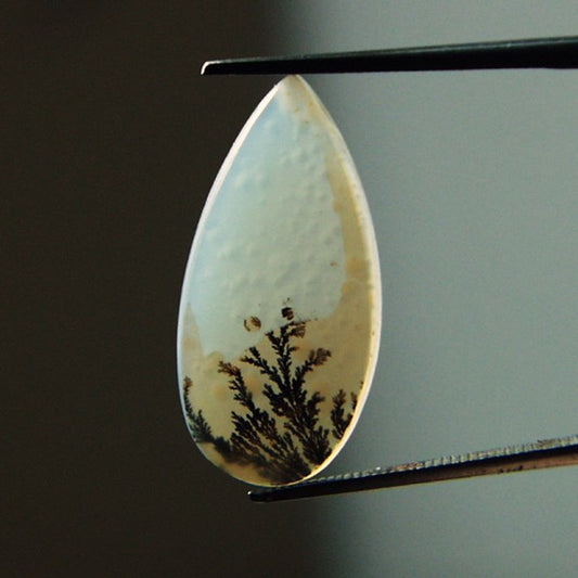 All Natural! Fine Quality Dendritic Agate India