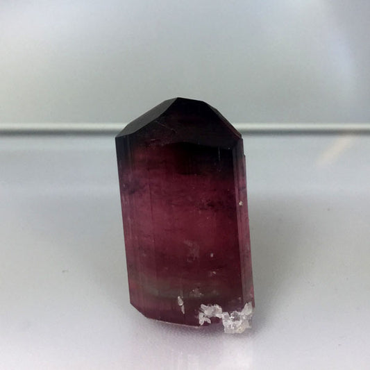 Collectors Tourmaline Crystal With Leopoldite Afghanistan GL