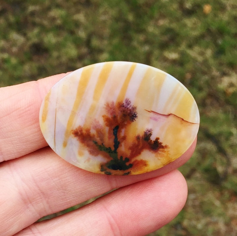 All Natural! Fine Quality Dendritic Agate India