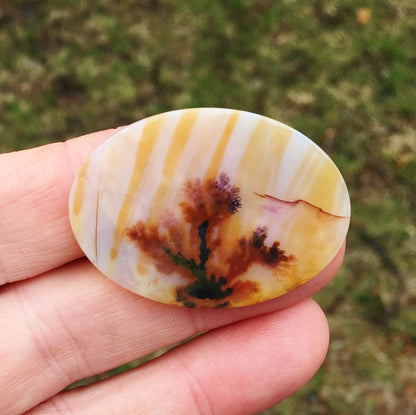 All Natural! Fine Quality Dendritic Agate India