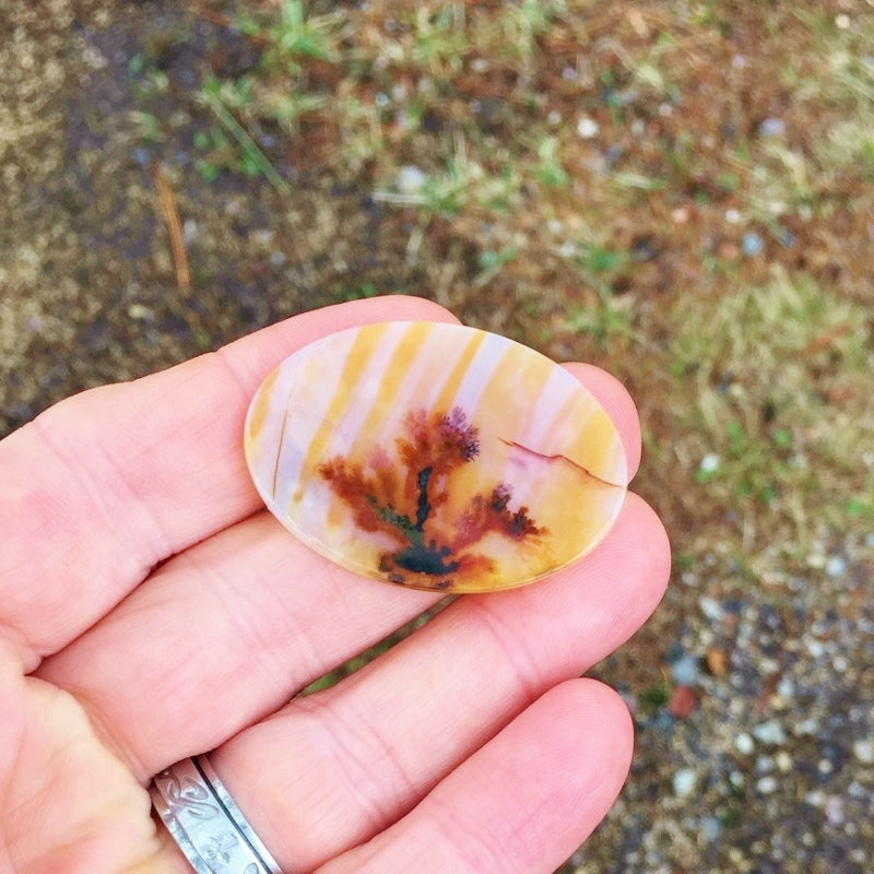 All Natural! Fine Quality Dendritic Agate India