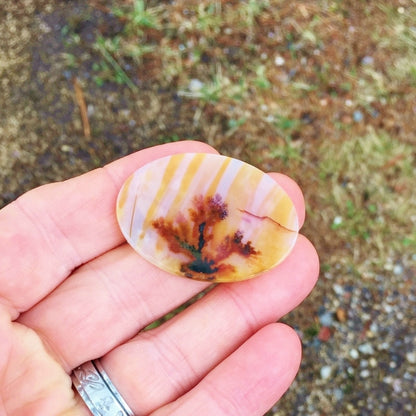 All Natural! Fine Quality Dendritic Agate India