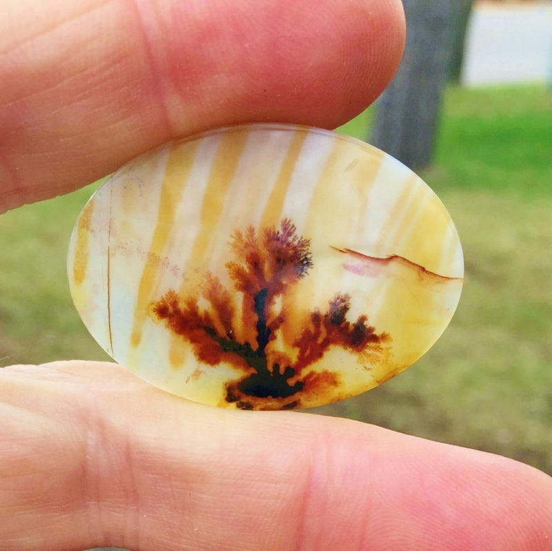 All Natural! Fine Quality Dendritic Agate India