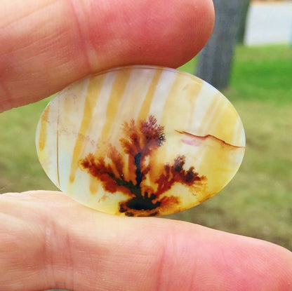 All Natural! Fine Quality Dendritic Agate India