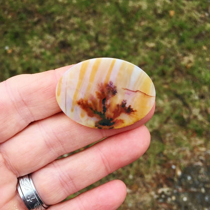 All Natural! Fine Quality Dendritic Agate India