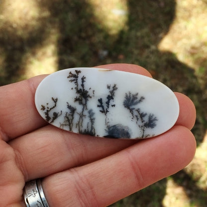 All Natural! Fine Quality Dendritic Agate India
