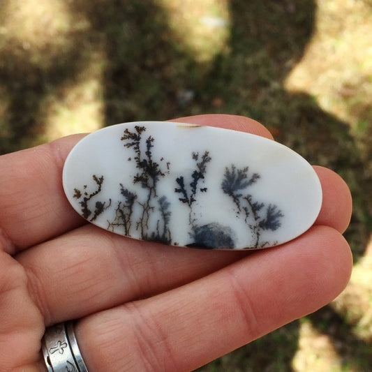All Natural! Fine Quality Dendritic Agate India