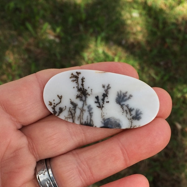 All Natural! Fine Quality Dendritic Agate India