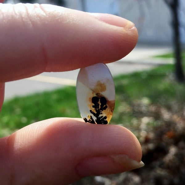 All Natural! Ring Size Dendritic Agate India