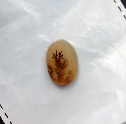 All Natural! Ring Size Dendritic Agate India