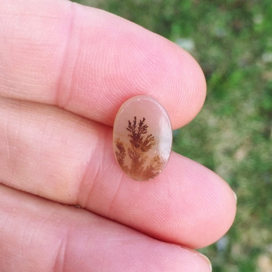 All Natural! Ring Size Dendritic Agate India
