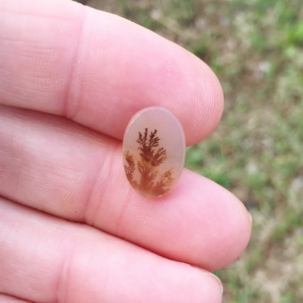 All Natural! Ring Size Dendritic Agate India