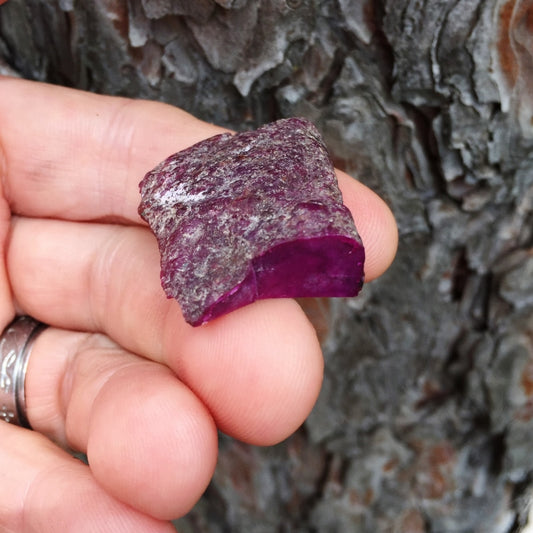 Rare! Natural Rich Plum Color Sugilite Cabbing Rough 10 Grams