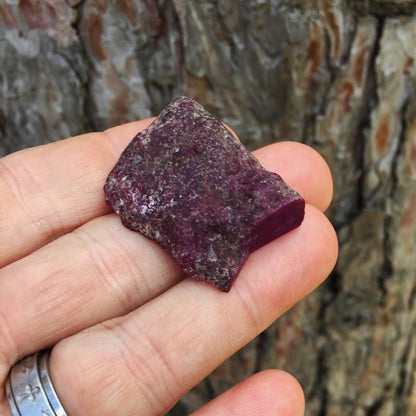 Rare! Natural Rich Plum Color Sugilite Cabbing Rough 10 Grams
