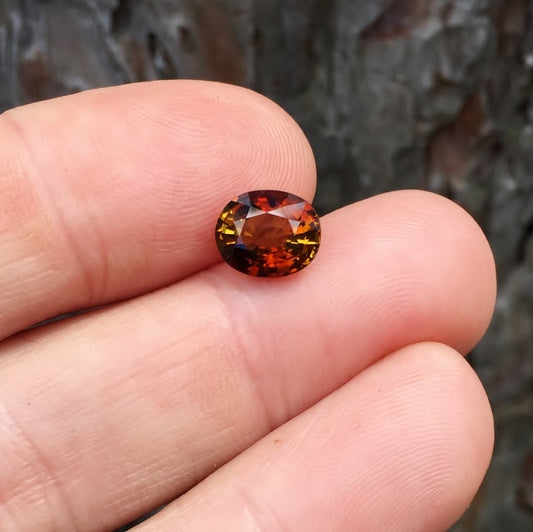 Natural Dichroic Dravite Tourmaline Tanzania 2.42 ct GL