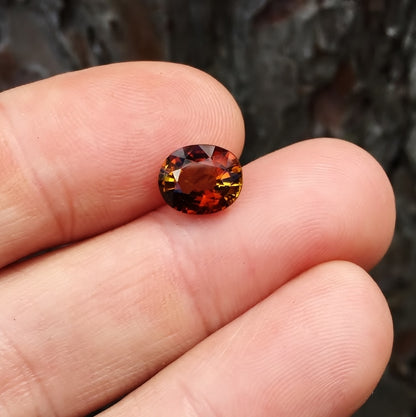 Natural Dichroic Dravite Tourmaline Tanzania 2.42 ct GL