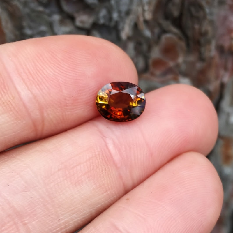 Natural Dichroic Dravite Tourmaline Tanzania 2.42 ct GL