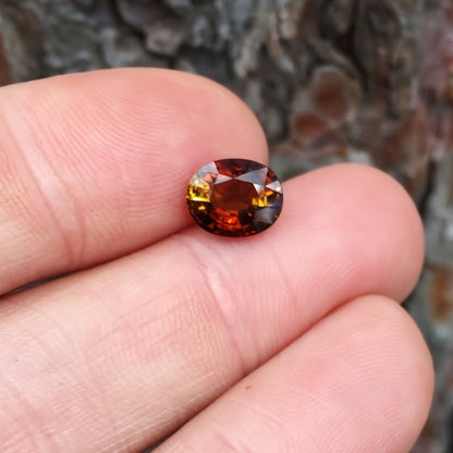 Natural Dichroic Dravite Tourmaline Tanzania 2.42 ct GL