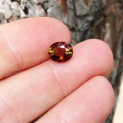 Natural Dichroic Dravite Tourmaline Tanzania 2.42 ct GL