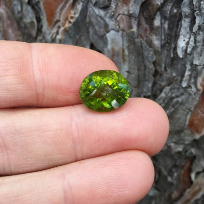 Big & Pretty! Fine Color Arizona Peridot 9.76ct