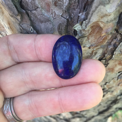 Awesome Color! Lapis Lazuli Pyrite Cab 23.69 Carat Afghanistan