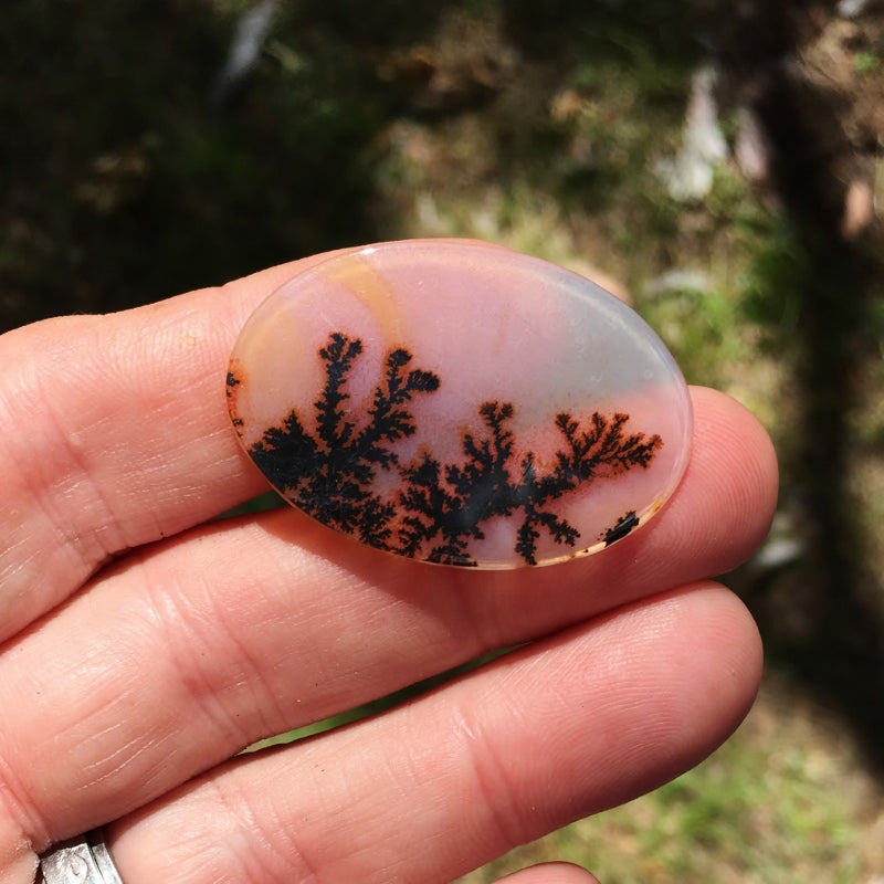 All Natural! Fine Quality Dendritic Agate India