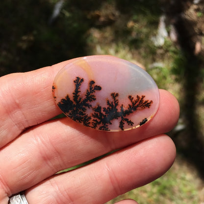 All Natural! Fine Quality Dendritic Agate India