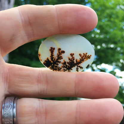 All Natural! Fine Quality Dendritic Agate India