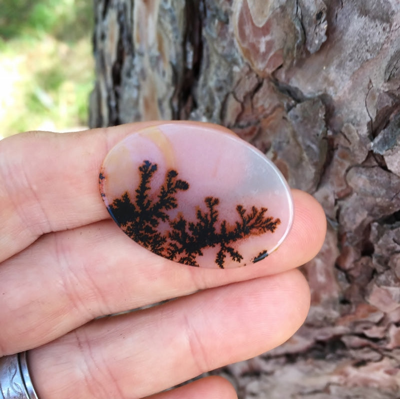 All Natural! Fine Quality Dendritic Agate India